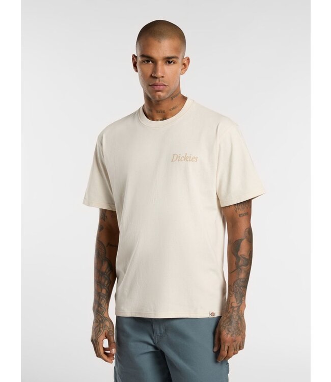Dickies Dickies Companion Script SS Tee Whitecap 300125