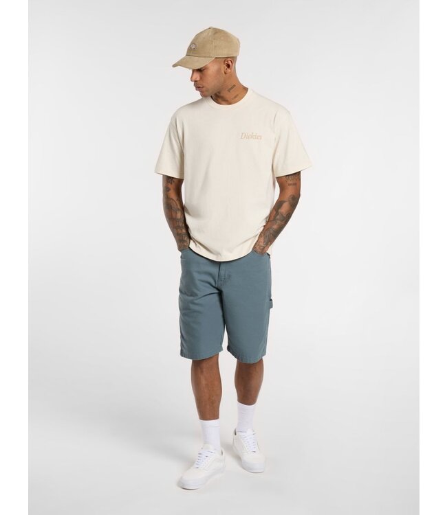 Dickies Dickies Companion Script SS Tee Whitecap 300125