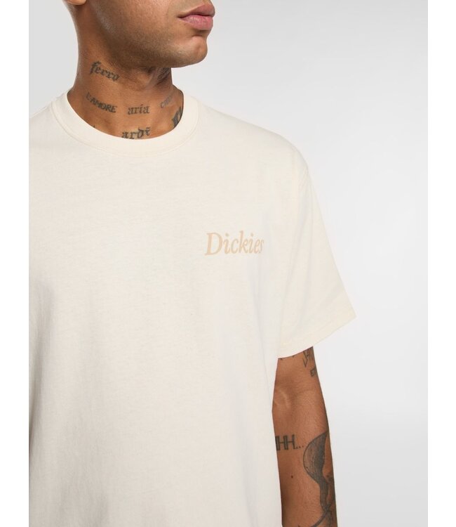 Dickies Dickies Companion Script SS Tee Whitecap 300125