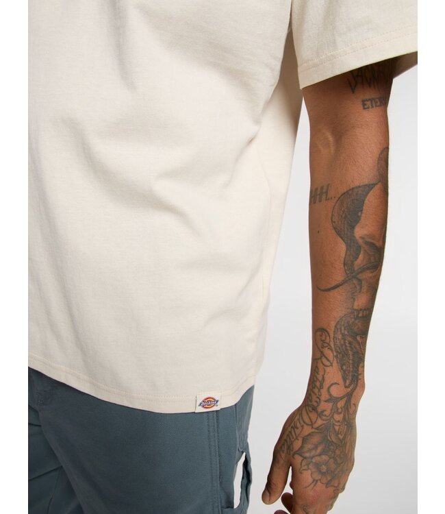 Dickies Dickies Companion Script SS Tee Whitecap 300125