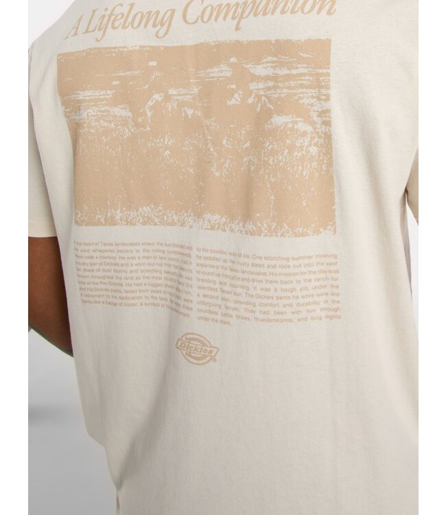 Dickies Dickies Companion Script SS Tee Whitecap 300125