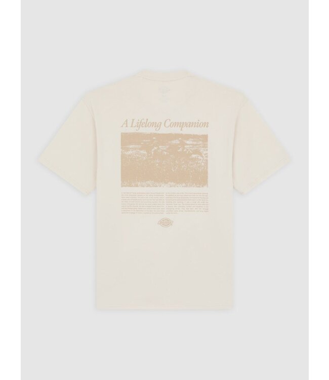 Dickies Dickies Companion Script SS Tee Whitecap 300125