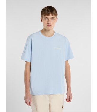 Dickies Dickies Companion Script SS Tee Skyway