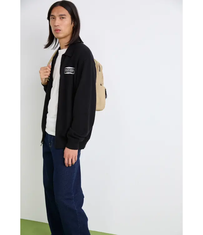 Dickies Dickies Hilham Denim Dark Indigo Loose Fit