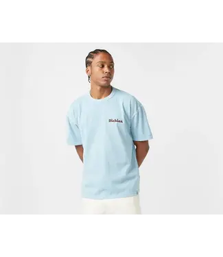 Dickies Dickies Slayden  Tee Glacier Lake