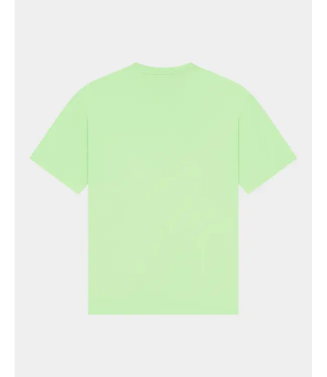 Stieglitz Stieglitz Philo Oversized T-shirt Green