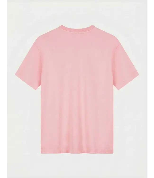 Stieglitz Stieglitz Basic Worn Out Oversized T-shirt Pink