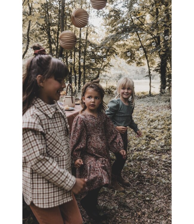 Outdoor blouse brown check