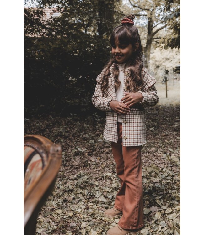 Outdoor blouse brown check