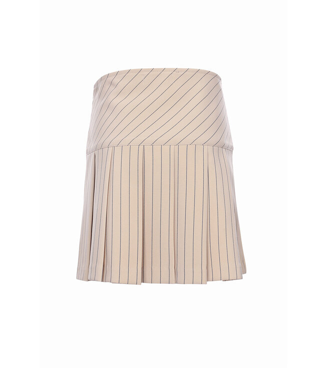 Pleated skirt College style