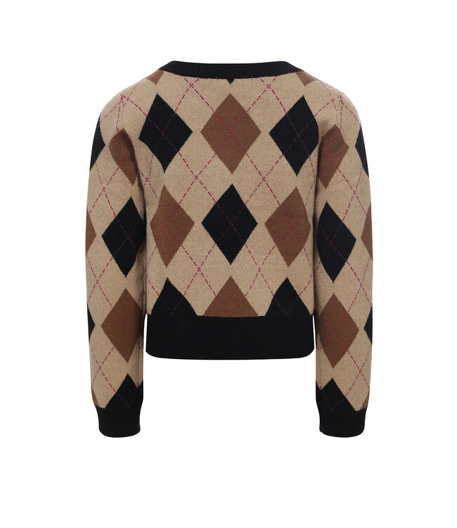 Gebreide trui Argyle