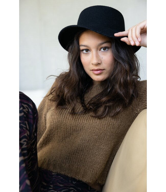 Cropped sweater Teddy Brown