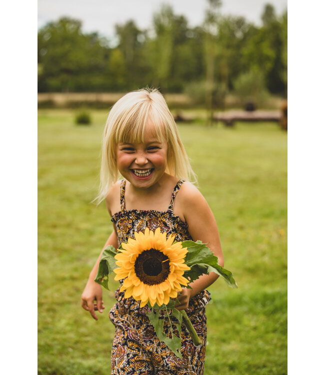 Paisley flower top zwart paisley dessin