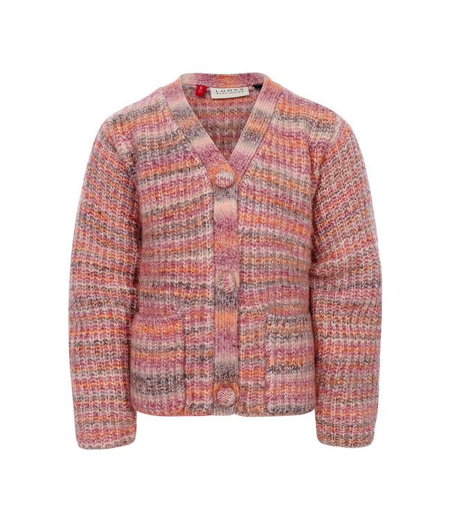 Gebreid vest Muticolor