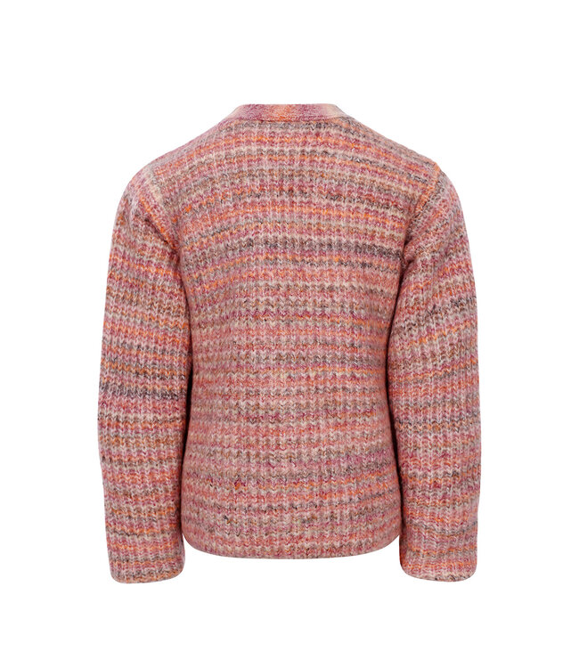 Gebreid vest Muticolor