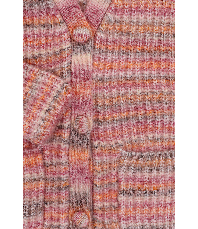 Gebreid vest Muticolor