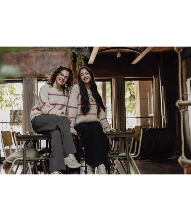 LXS Gebreide trui Pink Stripe