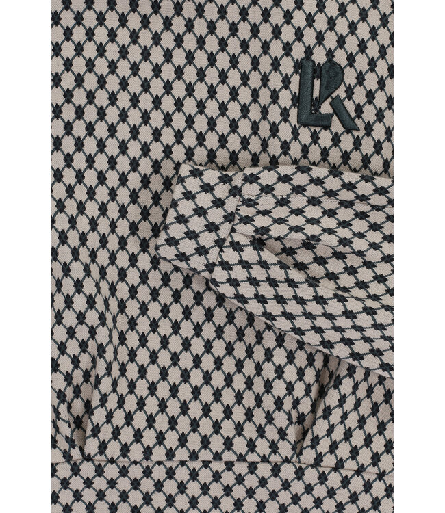 Jacquard sweater Dessin