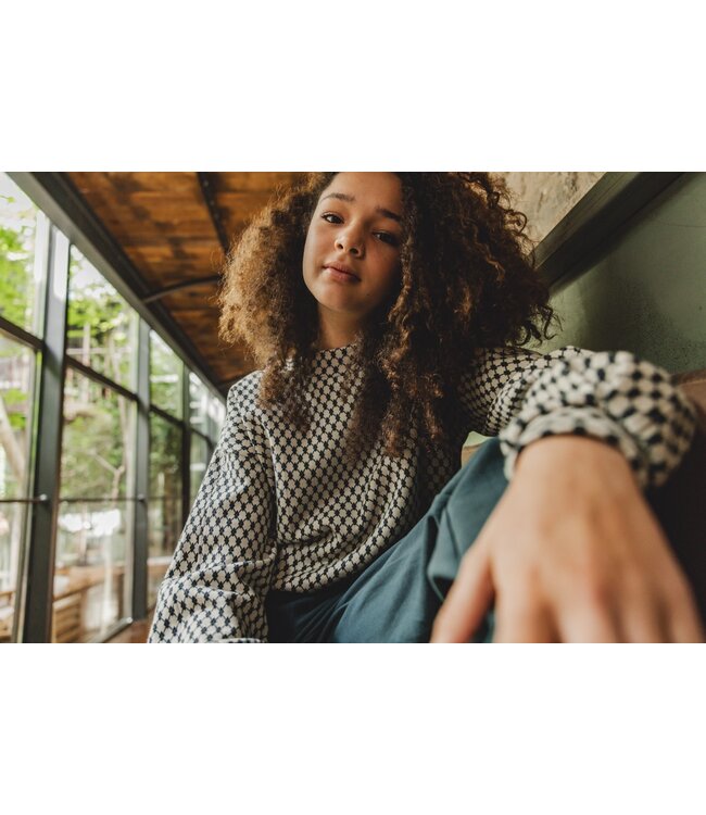 Jacquard sweater Dessin