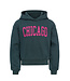 Hoody Chicago Petrol