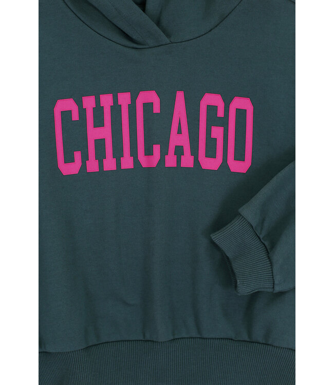 Hoody Chicago Petrol