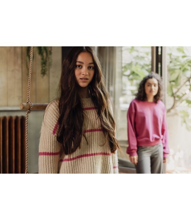 Gebreide trui Pink Stripe