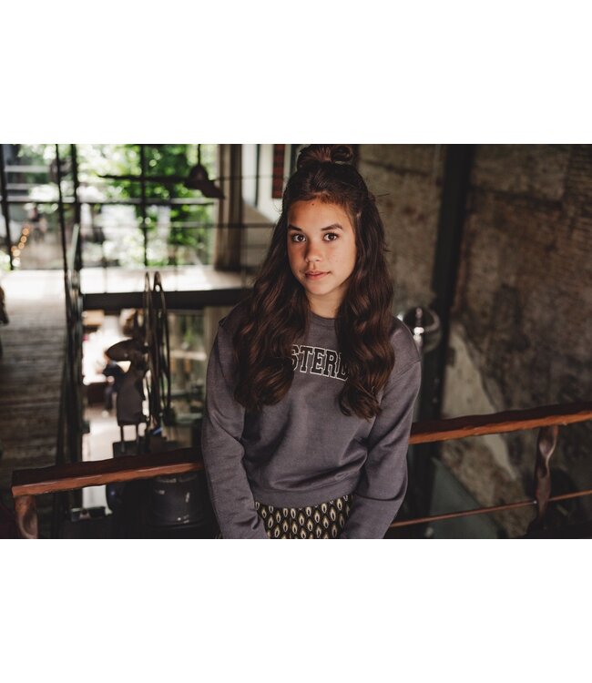 Sweater Silver Grey Amsterdam