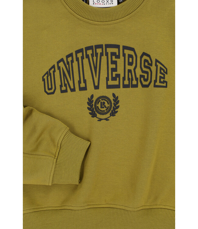 Sweater Moss Universe