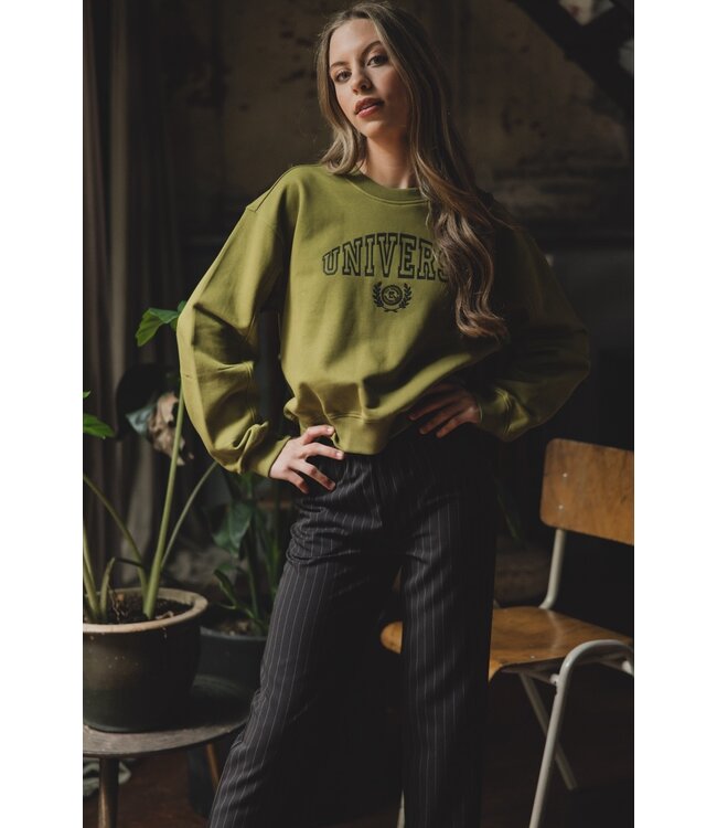 Sweater Moss Universe