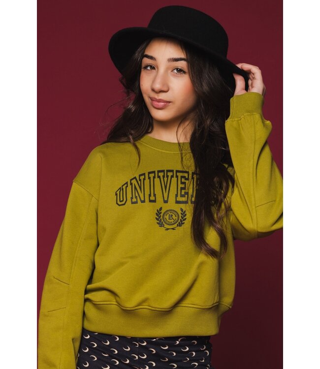 Sweater Moss Universe