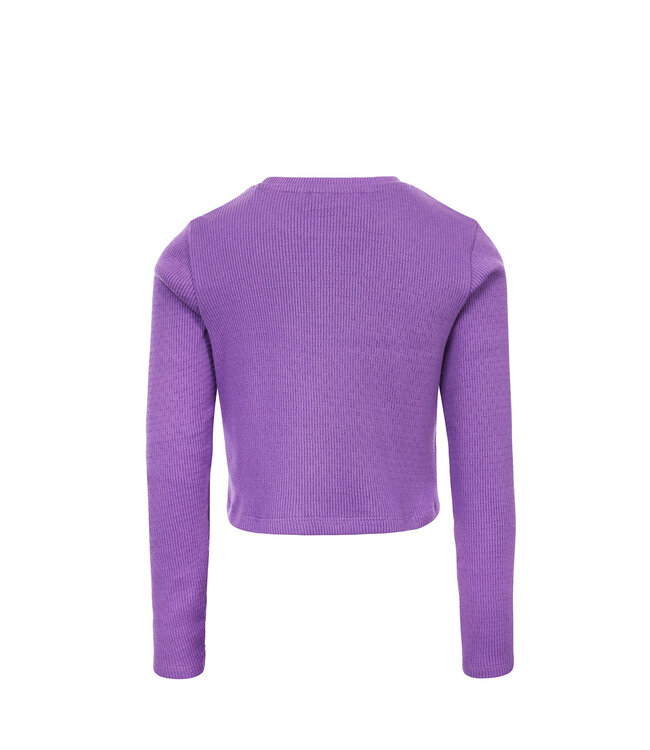 Purple longsleeve
