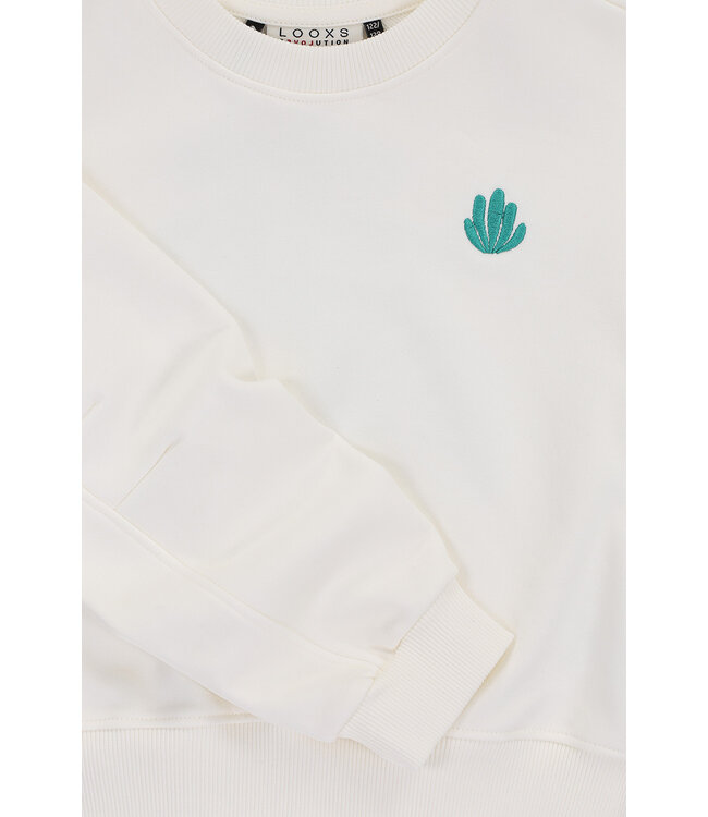 Sweater Wit Backprint