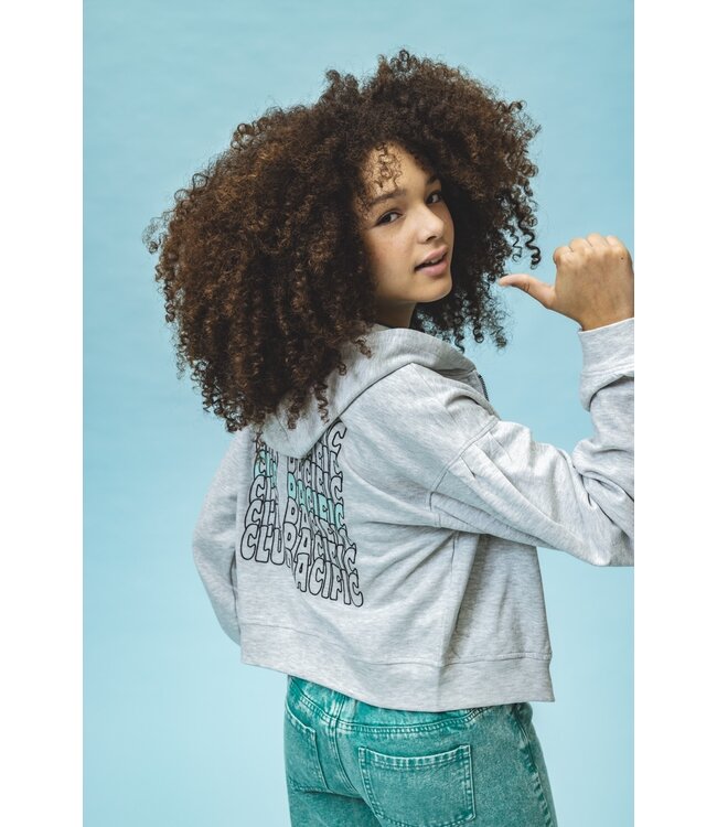 Sweatvest Grey Melee rugprint