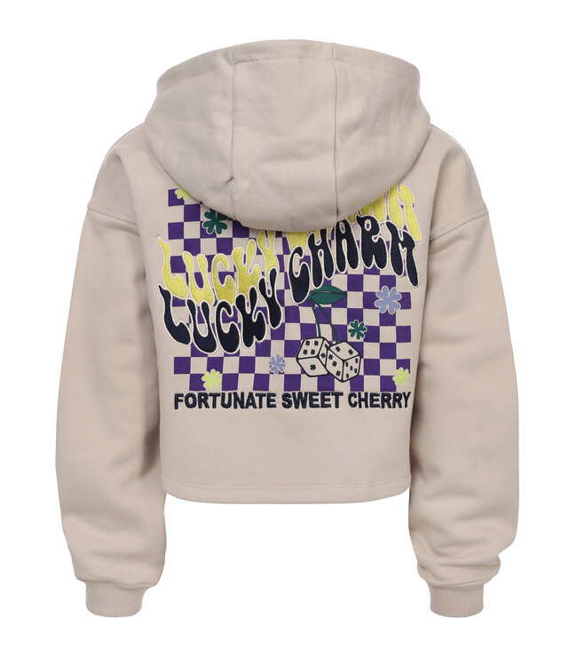 Hoody Dust back print