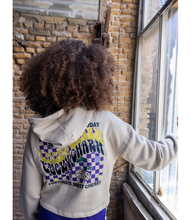 Hoody Dust back print