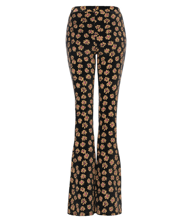 LXS Velours flared pants Winter Flower Zwart