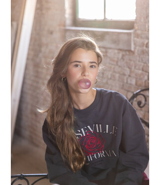 LOOXS 10sixteen Sweater Antra Roseville