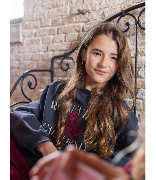 Sweater Antra Roseville