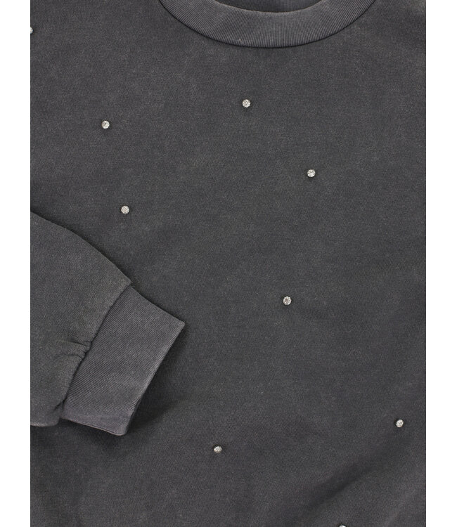 Sweater Washed Antra Strass