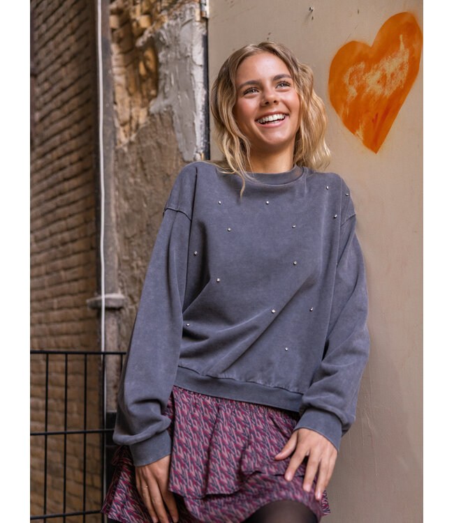 Sweater Washed Antra Strass