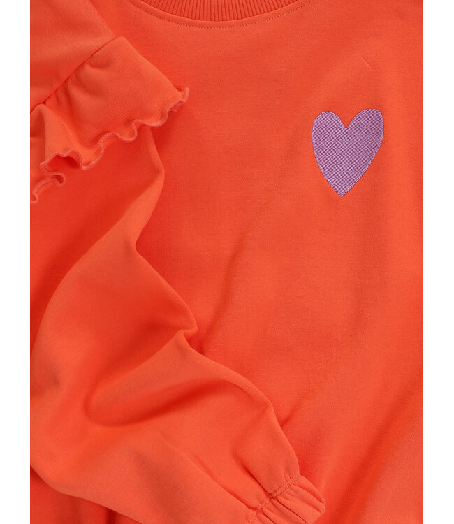 Sweater Koraal Amor es la revolution