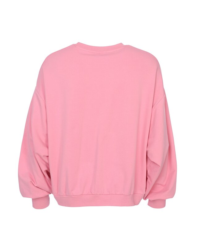 LXS Weichrosa Pullover Pasta Club