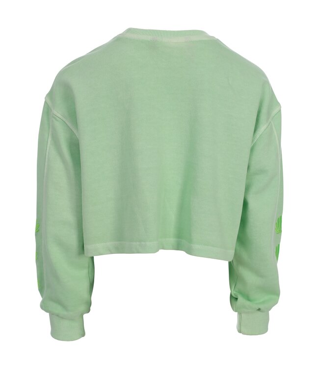 Sweater washed lime green
