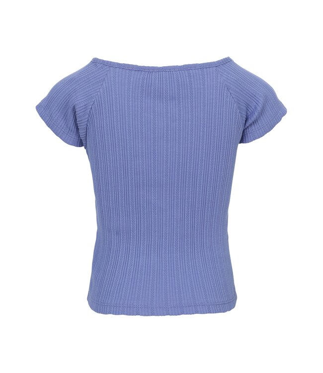 Fancy top Lavendel