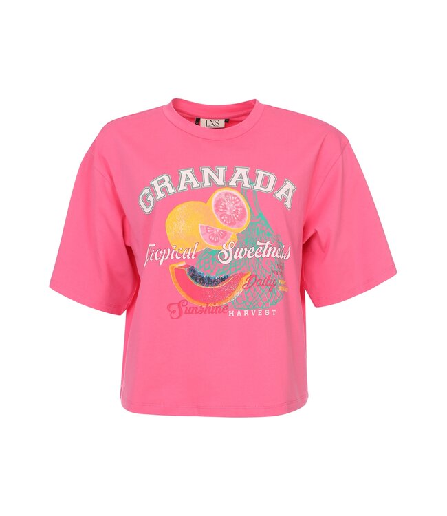 LXS T-shirt Bubblegum