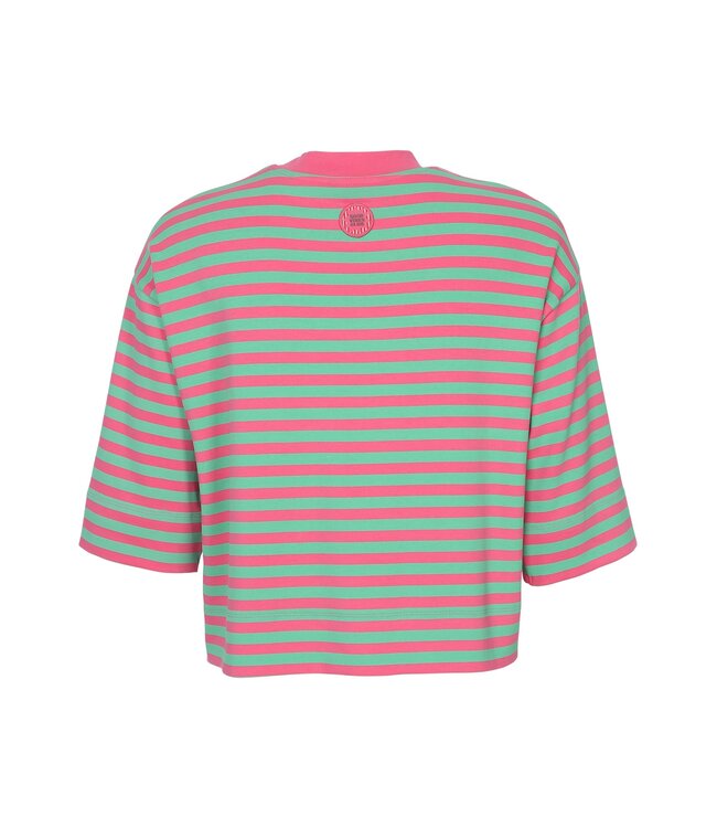 LXS T-shirt Striped Pink / Green