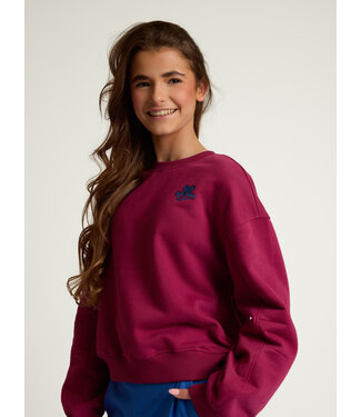 LOOXS 10sixteen Sweater Ruby Red Rugprint London