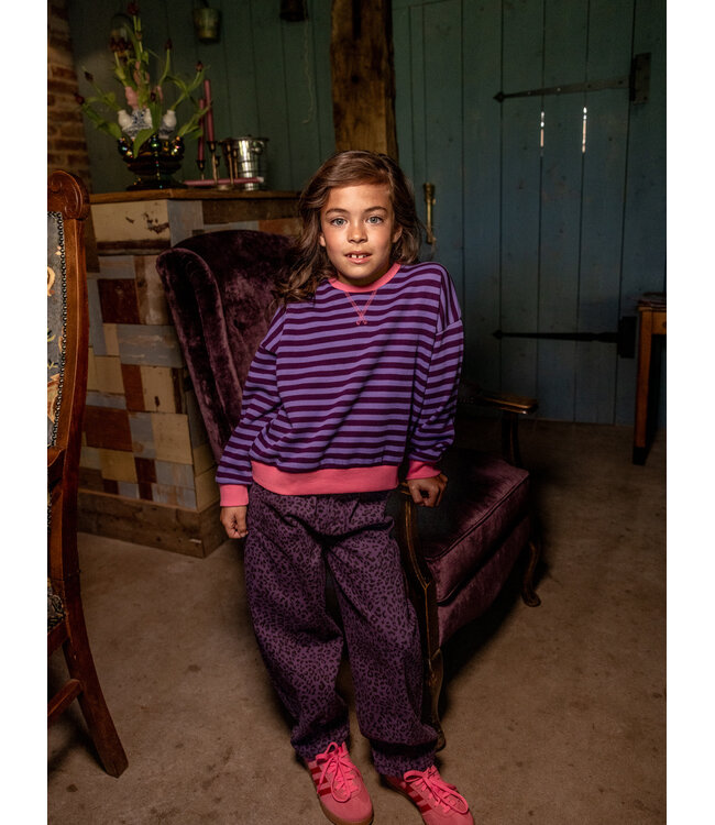 Sweater Purple Stripe