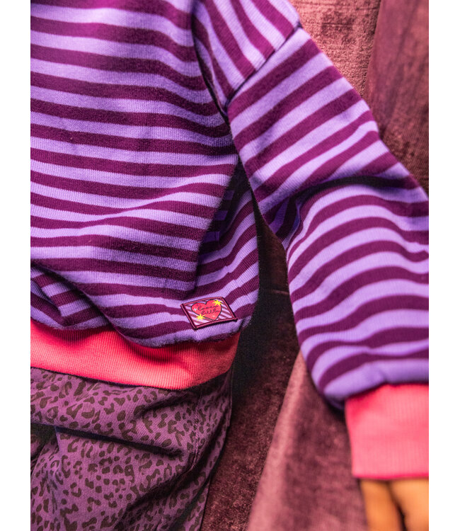 Sweater Paarse Streep