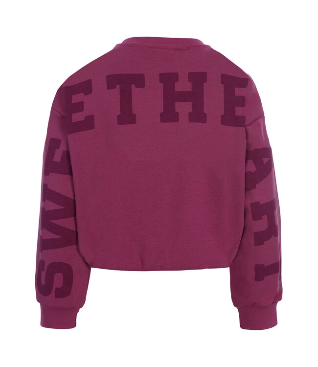 Ballon Sweater Violet backprint